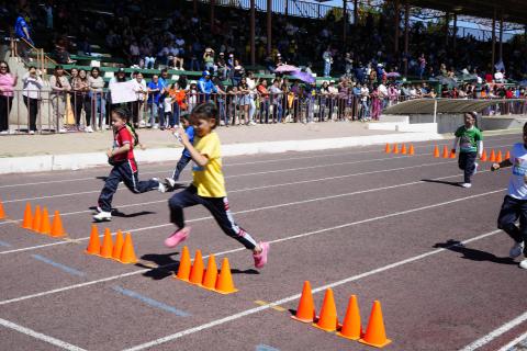 Un total de 325 alumnas y alumnos de 13 planteles pertenecientes a las zonas 45, 46 y 74 del Sector 10 de Preescolar, participaron en la Segunda Copa de Atletismo “Expresión de habilidades y capacidades motrices”, realizada en el Estadio 20 de Noviembre de Ciudad Juárez.